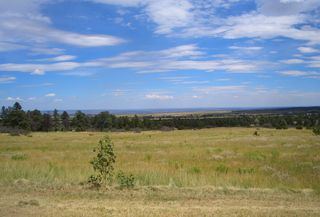 Ice Cream Social 2015 001