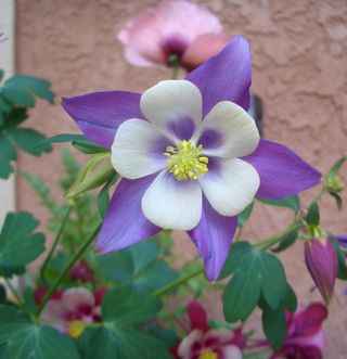 Wetmore landscape 2016 324 Wetmore landscape 2016 324