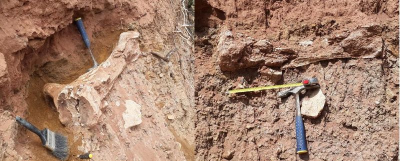 image from http://s3.amazonaws.com/hires.aviary.com/k/mr6i2hifk4wxt1dp/15101918/7648cf1c-e2c2-4ff7-a811-fb65fb162033.png