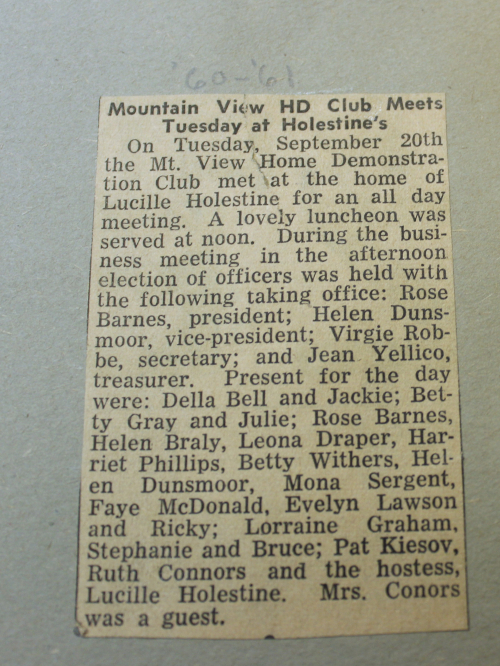 Mountain View Home Demonstration Club Officers 1960-1961