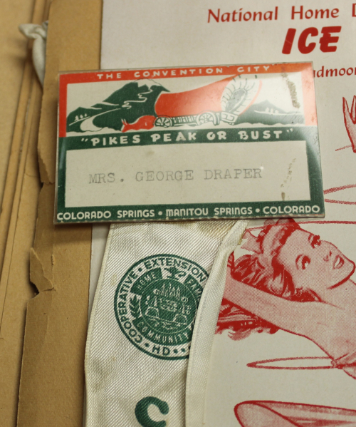 National Home Demonstration Council 1949