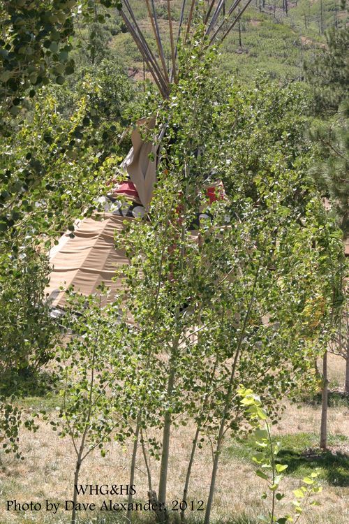 Babcock Hole, Hamilton Ranch