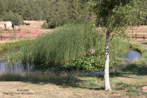 Babcock Hole, Hamilton Ranch